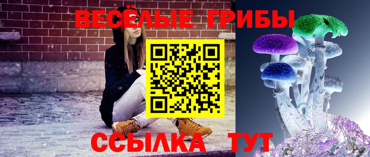 Галлюциногенные грибы ЛСД  Вход с VPN  Иваново 